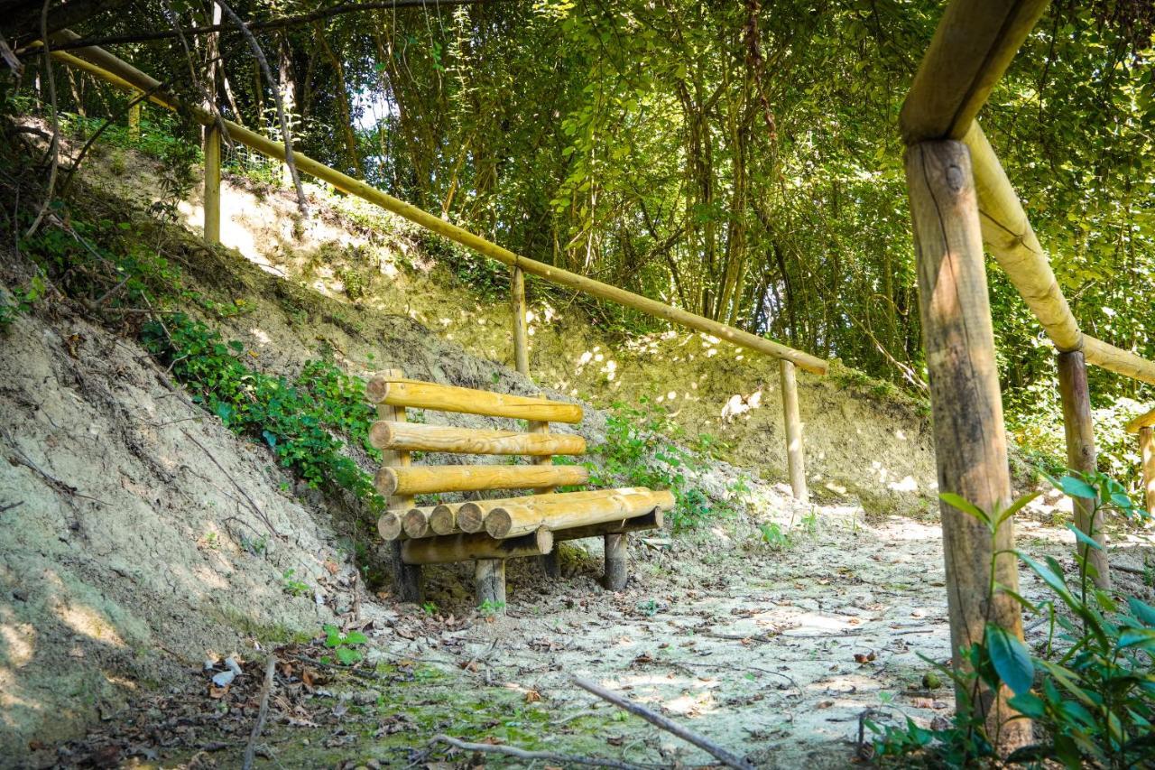 1870 Bed & Breakfast Arpino Exteriör bild